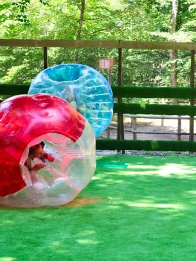 anniversaire adulte dijon