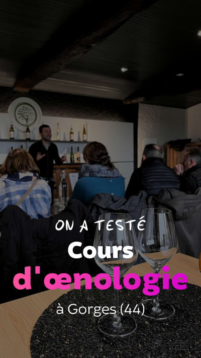 Visite du domaine et cours d'œnologie près de Nantes (44)