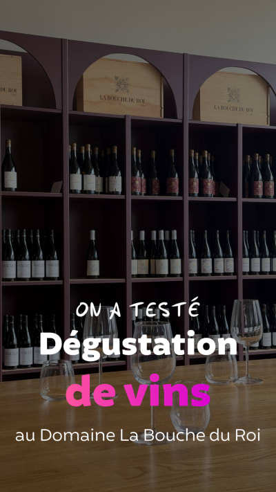 Visita y maridaje en la finca La Bouche du Roi (78)