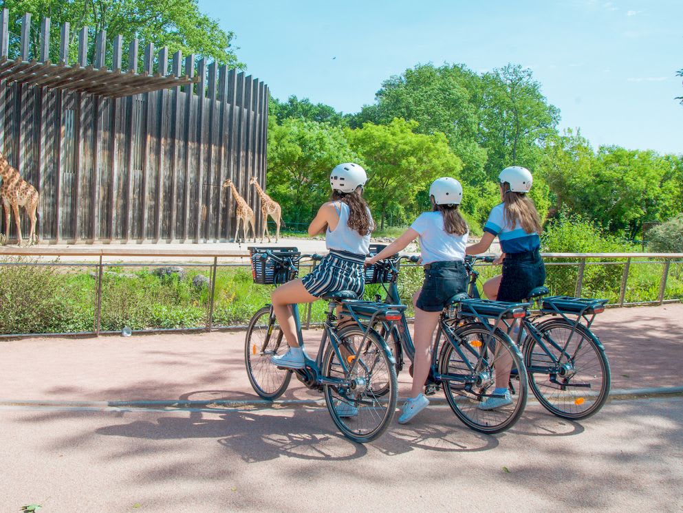 Visite du Parc de la Tête d'Or à Vélo électrique à Lyon (69)