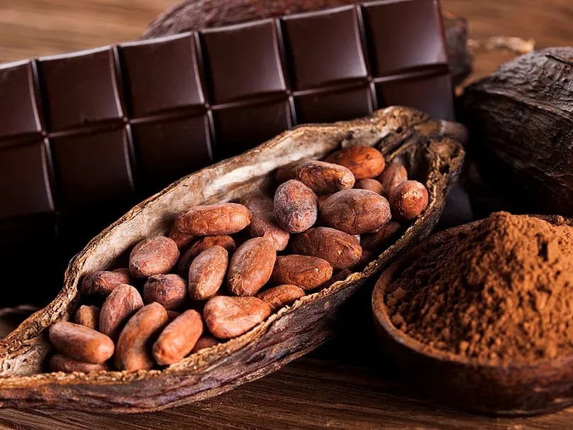 Bean to Bar какао Бобы