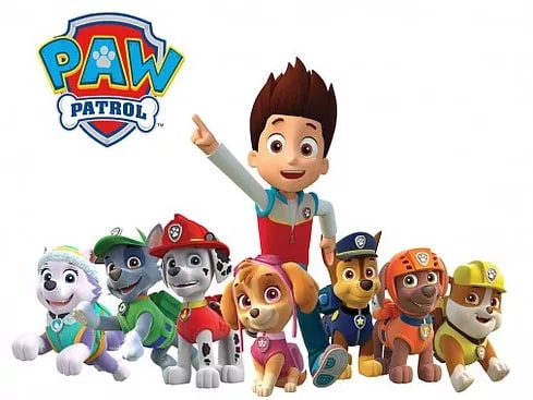 Anniversaire Pat Patrouille 3 9 Ans A Domicile 33 24 Funbooker