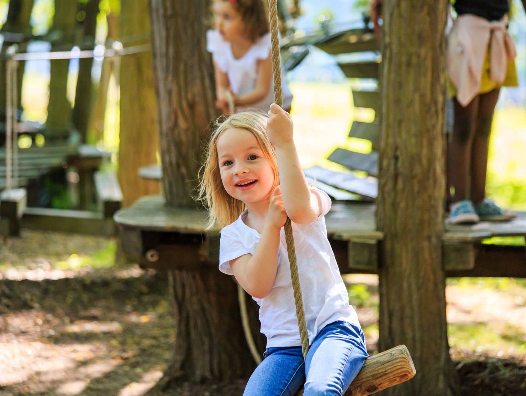 Anniversaire Accrobranche 2 16 Ans A Sannois 95 Funbooker