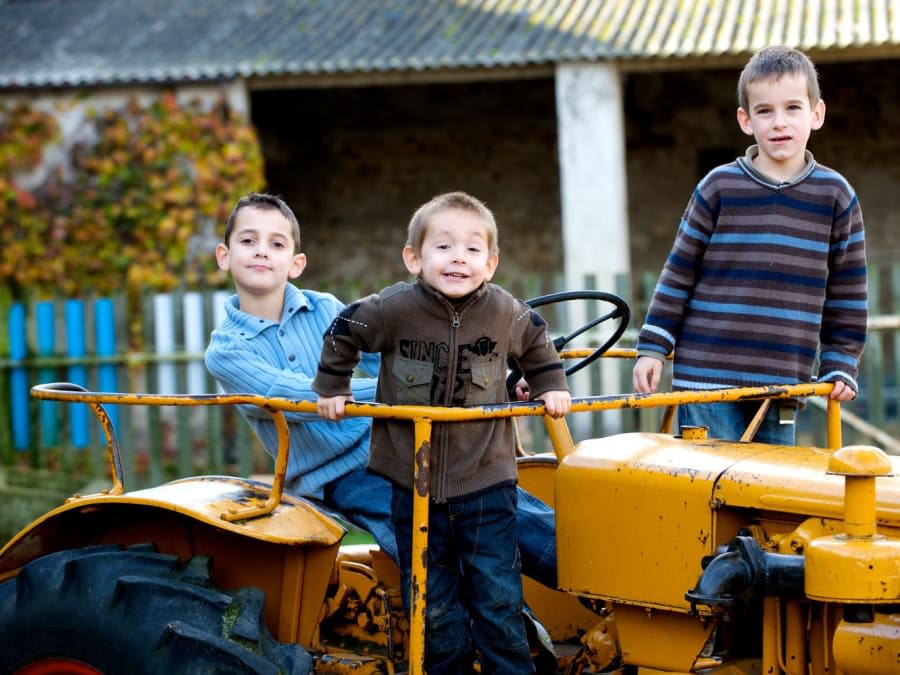 ferme de gally anniversaire Anniversaire 6 12 Ans A La Ferme De Gally De Saint Denis Funbooker ferme de gally anniversaire