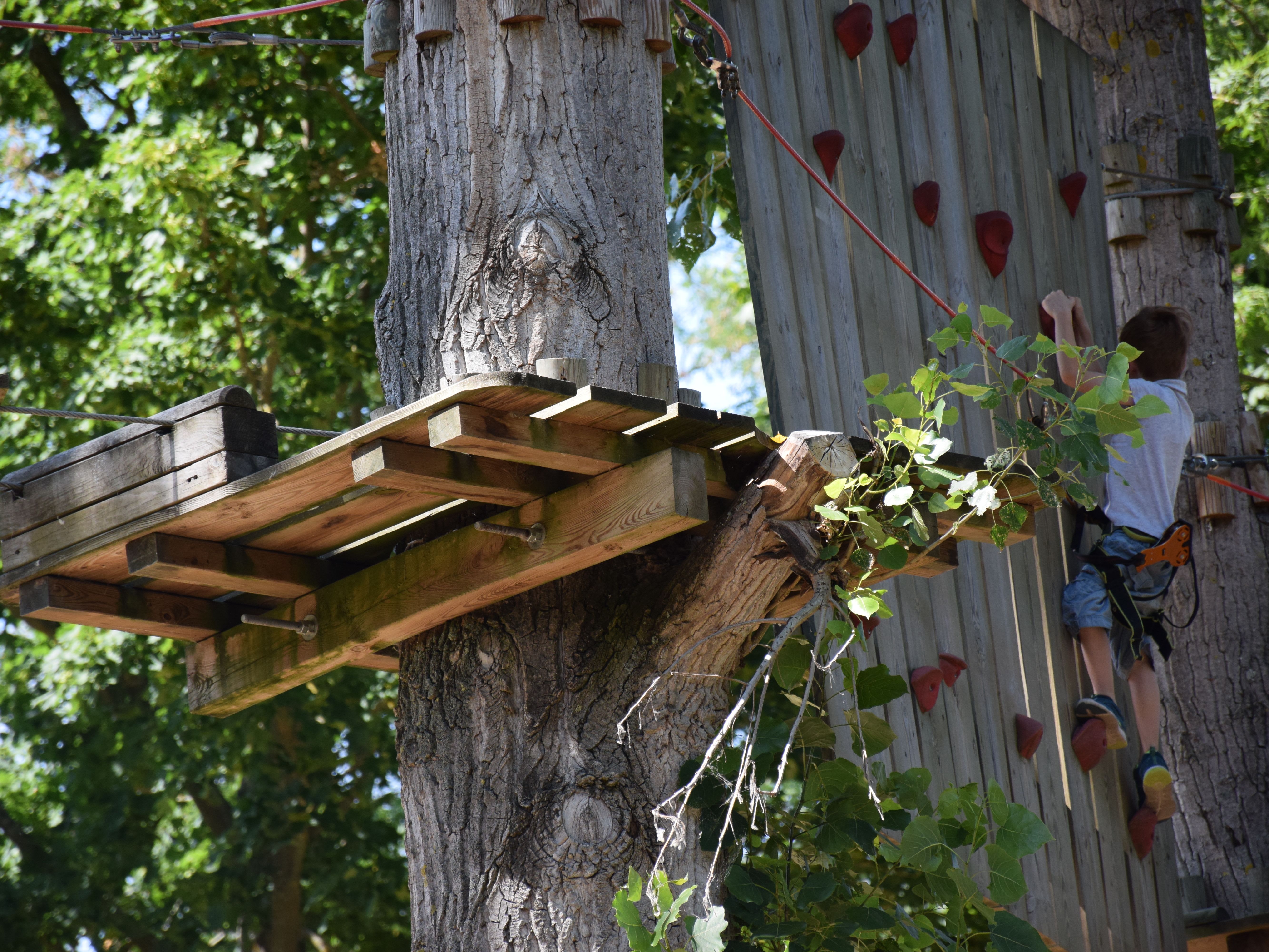 Anniversaire Accrobranche 8 13 Ans A Cergy 95 Funbooker