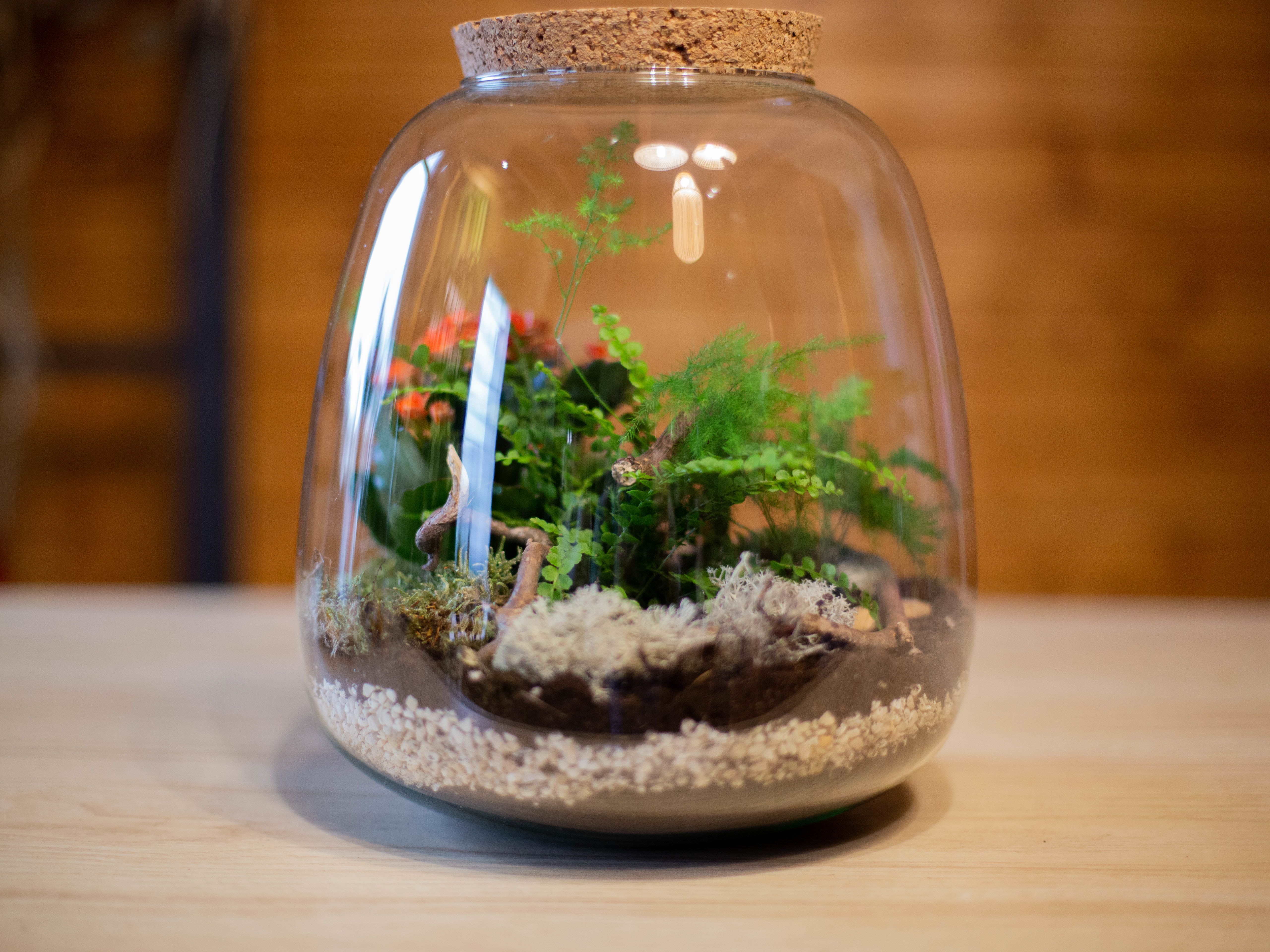 ATELIER TERRARIUM ENFANT