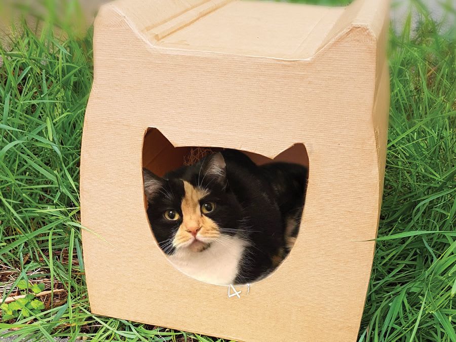 Atelier Diy Cabane A Chat En Carton Recycle A Montreuil 93 Funbooker