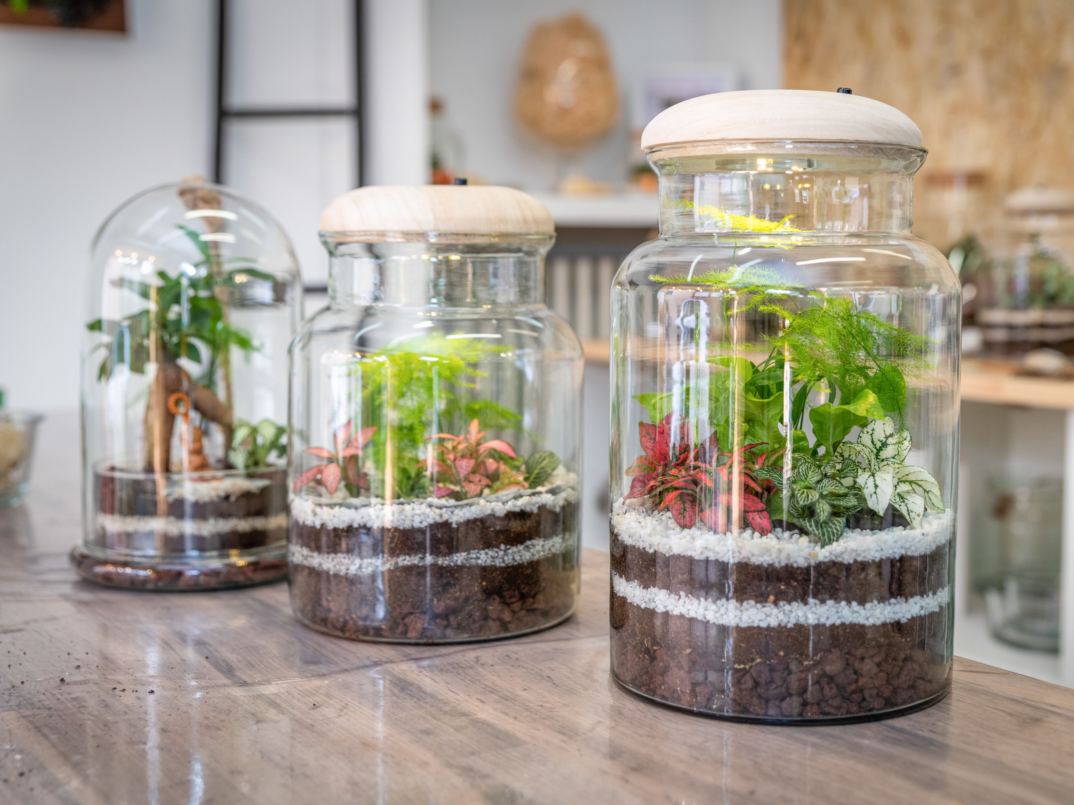 ATELIER TERRARIUM ENFANT