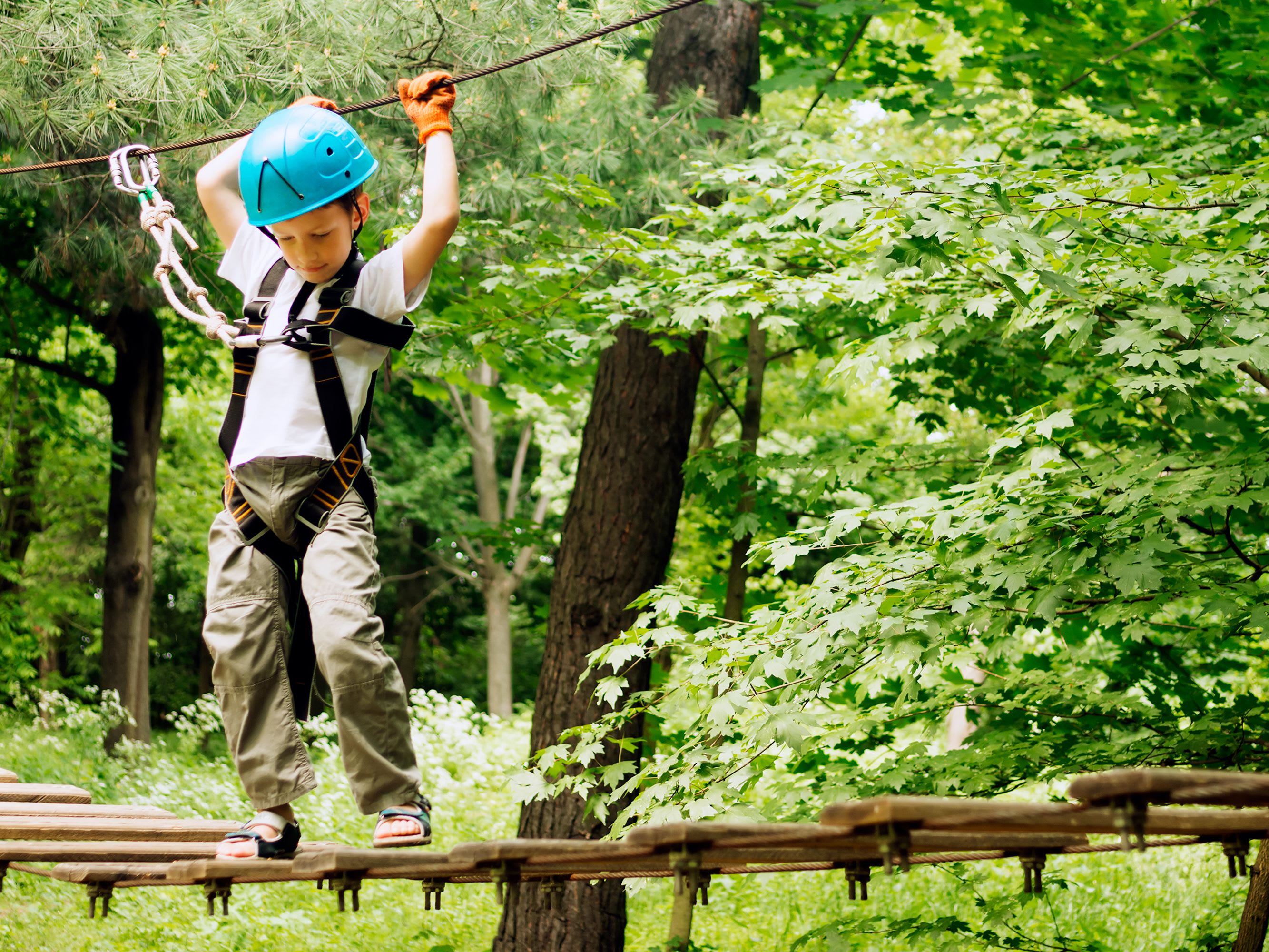 Anniversaire Au Parc Accrobranche A 5 Minutes De Rouen 76 Funbooker