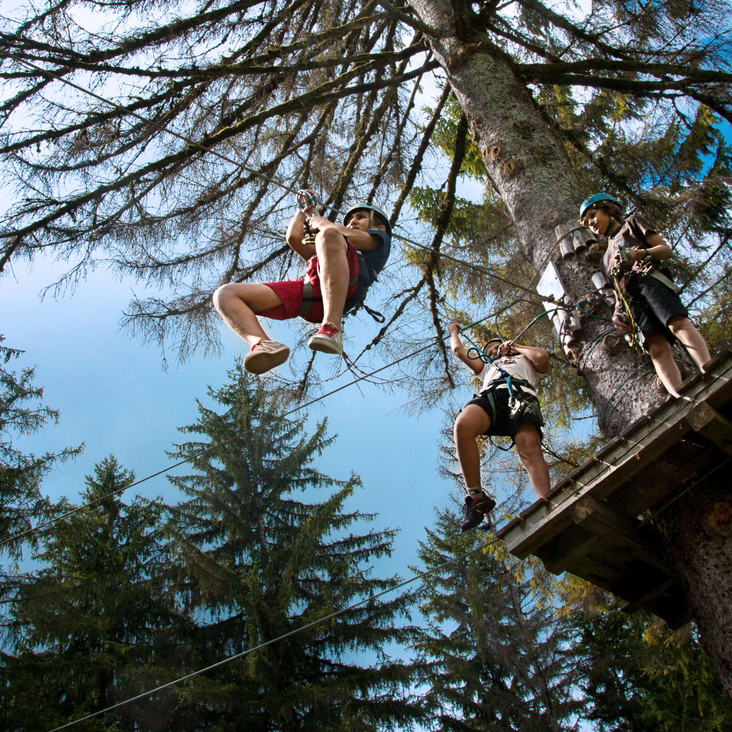 Accroder Seul Accrobranche Au Bord Du Lac
