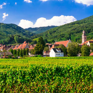 alsace