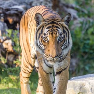 Zoo