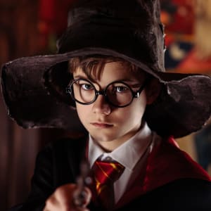 anniversaire harry potter