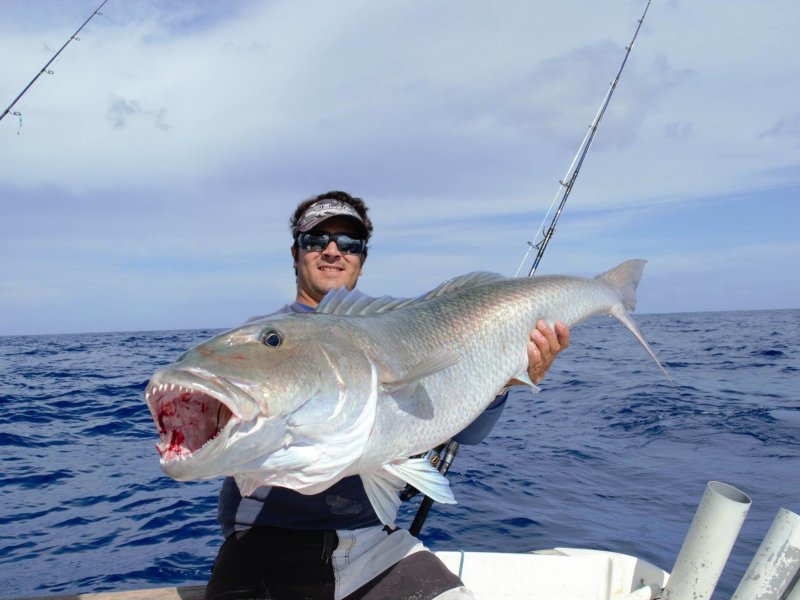 Pêcheur tenant une grosse dorade coryphène ( mahi-mahi ) à bord d'un bateau de pêche au gros à La Réunion
