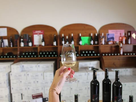 Tour des vignobles savoyards à  Chambery (73)