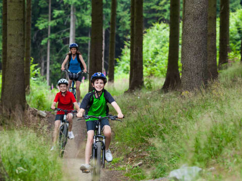 Balade à  VTT en forêt à  Barbaste