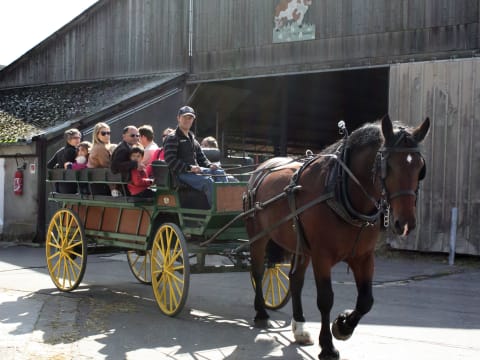 Balade en calèche à  la Bergerie Nationale de Rambouillet