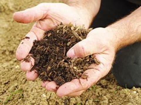 Atelier plantes aromatiques à  Montardon (64)