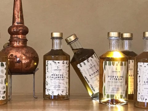 Visite d'une distillerie de Pastis à  Aix-en-Provence (13)