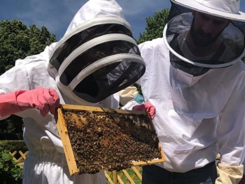 Stage journée Apiculture près de Paris