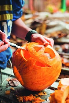Atelier enfant citrouille Halloween chez Truffaut Nîmes (30)