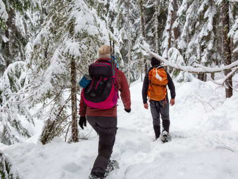 Journée randonnée en raquettes à  Megève (74)