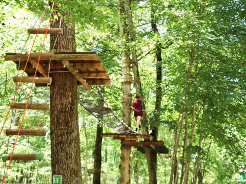 Parcours Accrobranche à  Curley proche de Dijon (21)