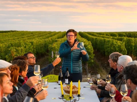 Visite de vignes & dégustations de vins près de Tours (37)