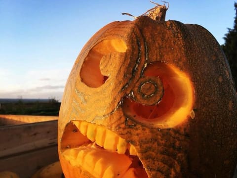 Atelier citrouille d'Halloween à  la Cueillette de Seclin (59)