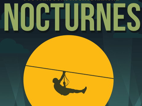 Nocturne accrobranche Halloween, AccroCamp Chaville (92)