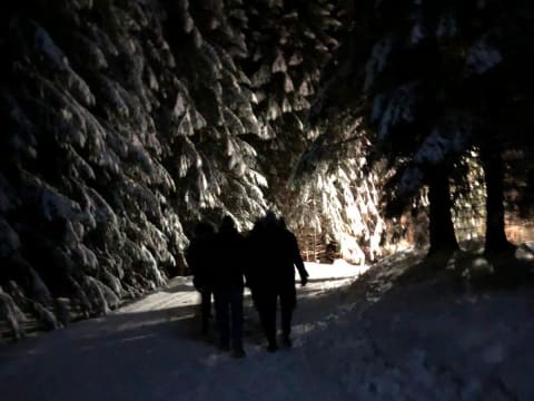 Sortie nocturne avec repas en refuge à  Megève (74)
