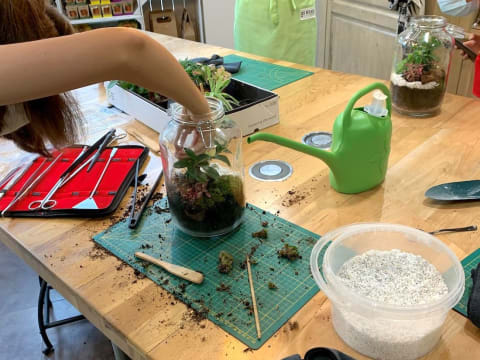 Atelier Terrarium spécial EVG/EVJF à  Angers (49)