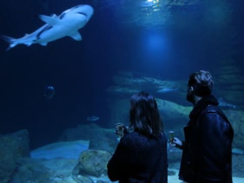 Visite nocturne de l'aquarium de Paris au Trocadéro