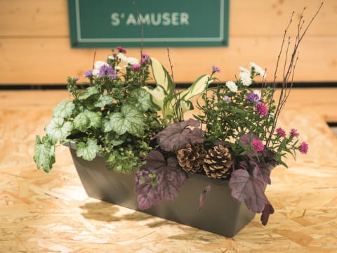 Atelier jardinière de saison chez Truffaut Deauville