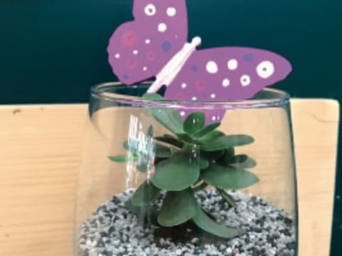 Atelier enfant création bulle de plantes, Truffaut Rennes (35)
