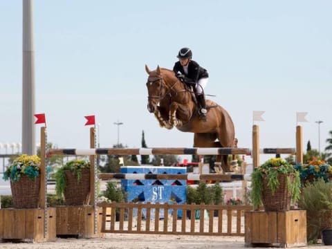 Stage vacances Equitation à  Nîmes (30)