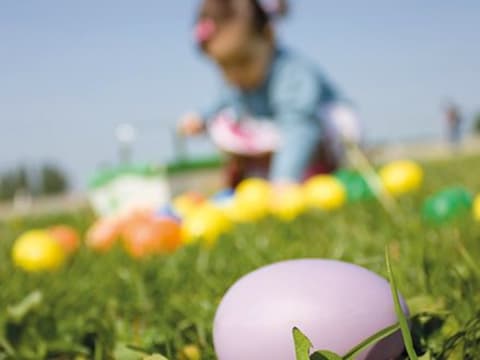 Fête des oeufs 2022 à  la Ferme ouverte de St Denis