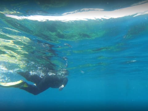 Snorkeling à  Ajaccio (20)