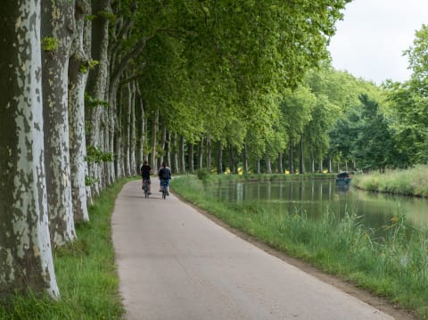 Balade au Canal du midi à  vélo électrique (31)