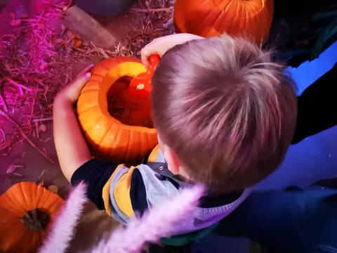 Atelier enfant citrouille Halloween chez Truffaut Limoges (87)