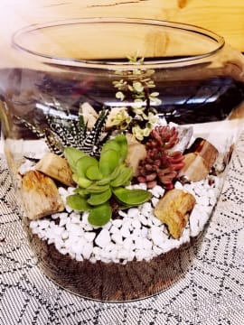 Atelier Terrarium chez Truffaut Rennes (35)