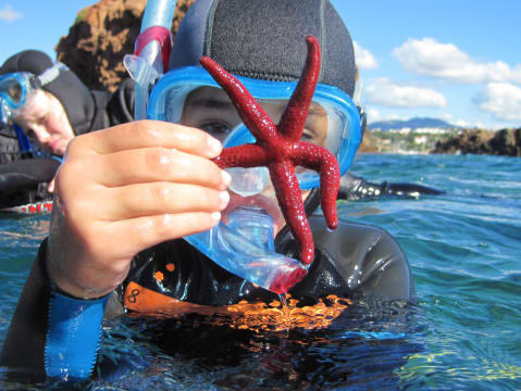 Snorkeling à  Fréjus (83)