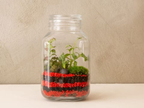 Atelier terrarium "Plantes Grasses" à  Biot (06)