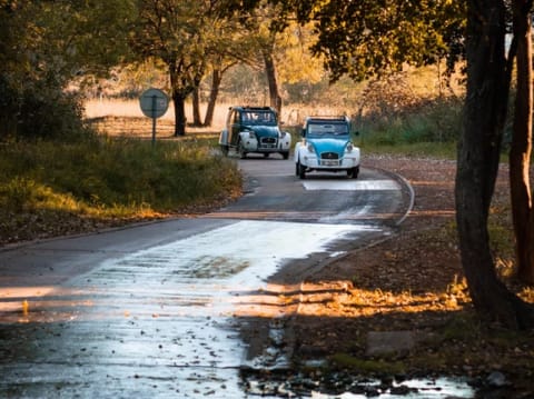 Balade en 2CV depuis Mèze dans le Languedoc (34)