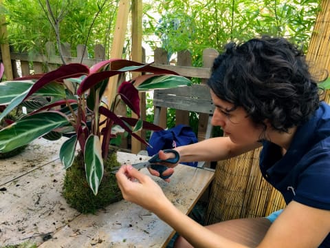 Atelier kokedama à  Reims (51)