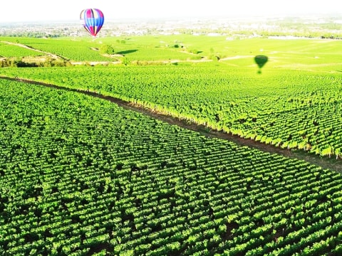 Vol en Montgolfière à  Beaune (21)