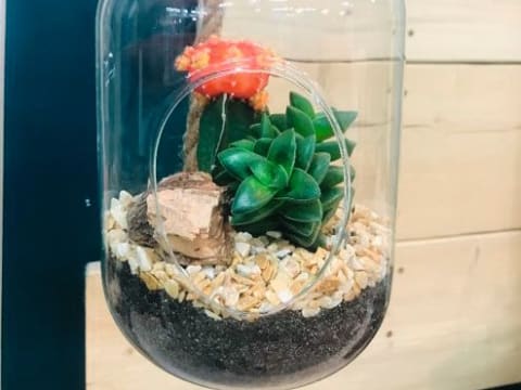 Atelier Terrarium suspendu de Plantes grasses Truffaut Toulouse
