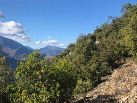 Balade à  VTT encadrée à  Grasse (06)