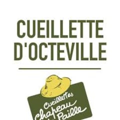 Cueillette d'Octeville