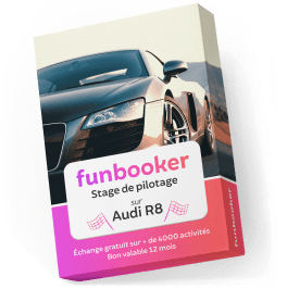 Funbox Pilotage Audi R8